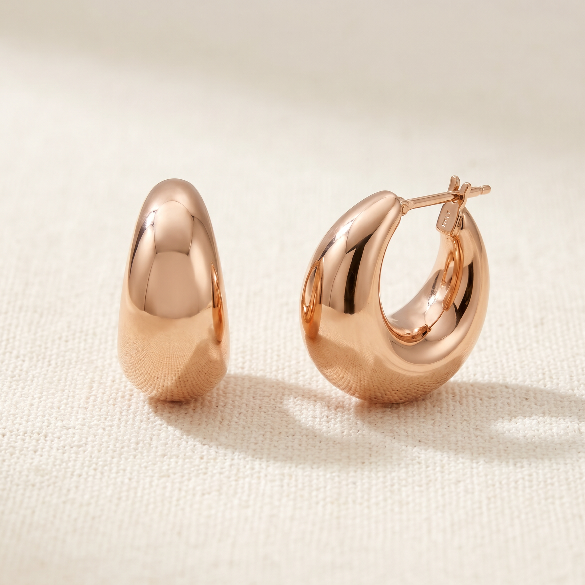 Sculpted Hoops Earrings