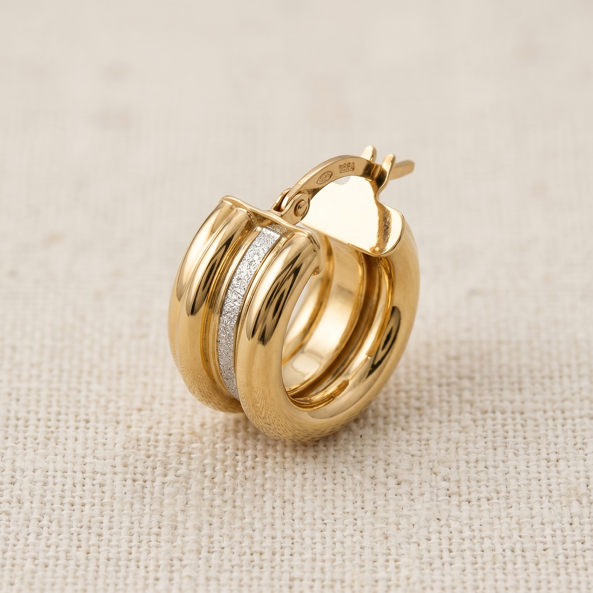 Dual Radiance Hoops Earrings